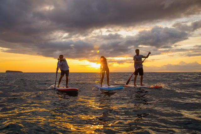 Stand Up Paddling Sunset